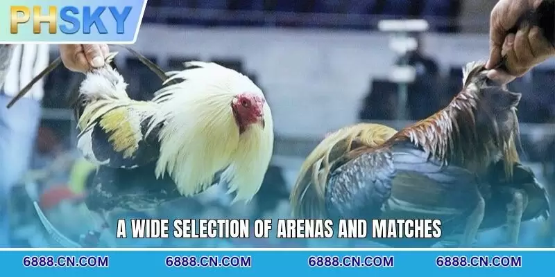 A wide selection of arenas and matches