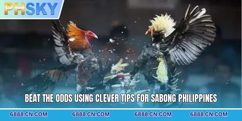 Beat the odds using clever tips for sabong Philippines