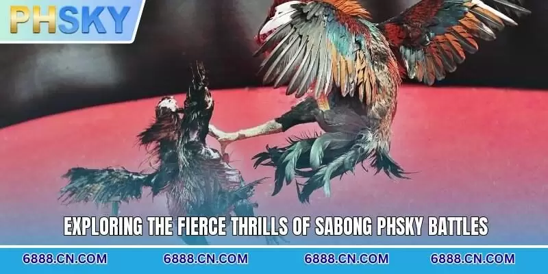 Exploring the fierce thrills of Sabong PHSKY battles