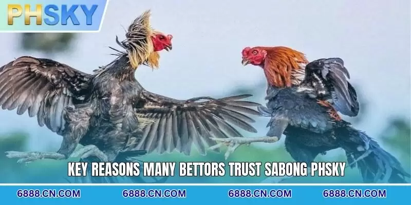 Key reasons many bettors trust Sabong PHSKY