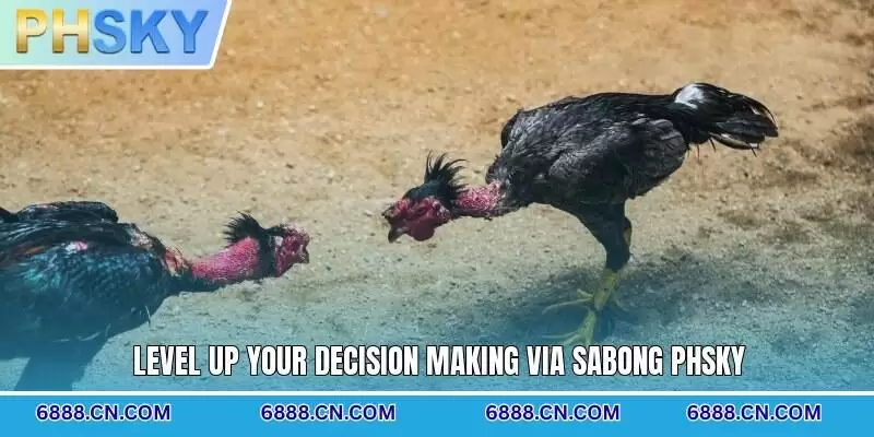 Level up your decision making via Sabong PHSKY