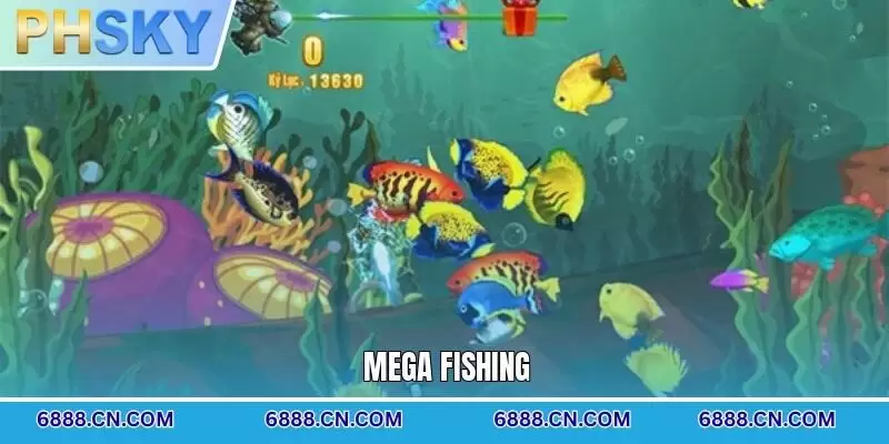 Mega Fishing