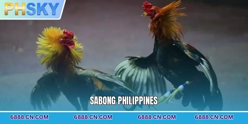 Sabong Philippines