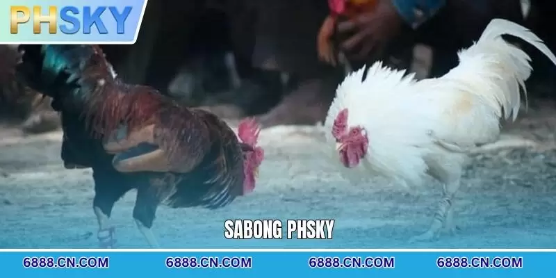 Sabong PHSKY