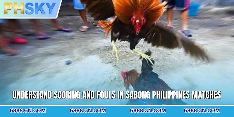 Understand scoring and fouls in sabong Philippines matches