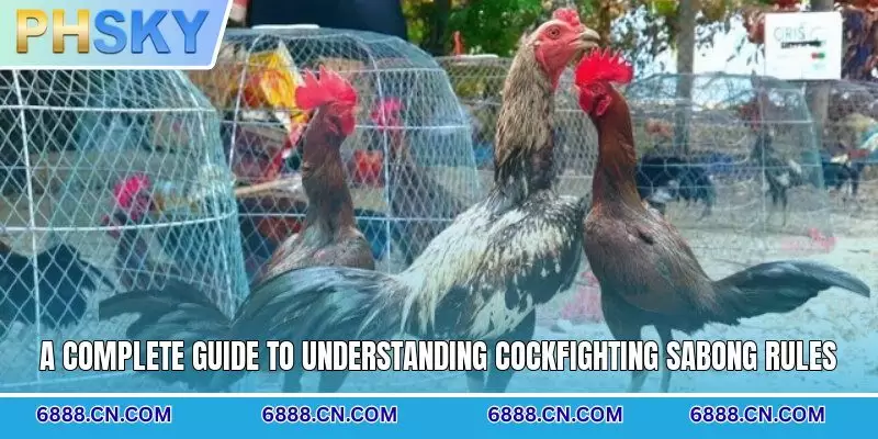 A complete guide to understanding cockfighting Sabong rules