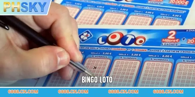 Bingo Loto