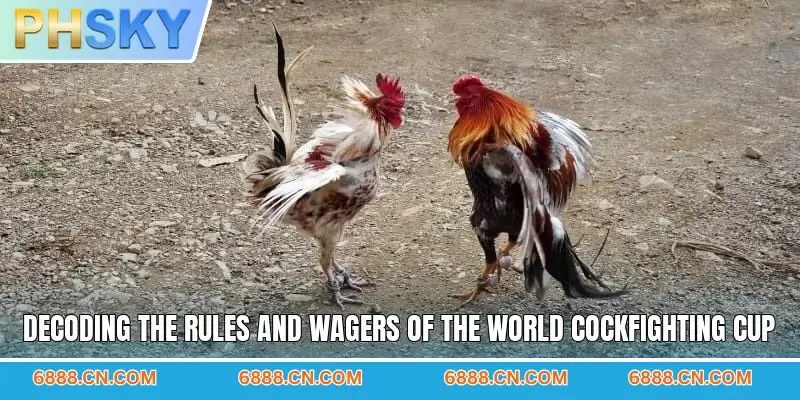 Decoding the rules and wagers of the world cockfighting cup