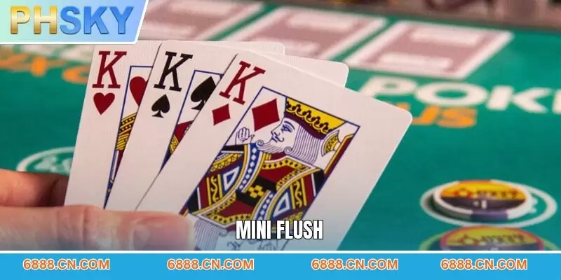 Mini Flush