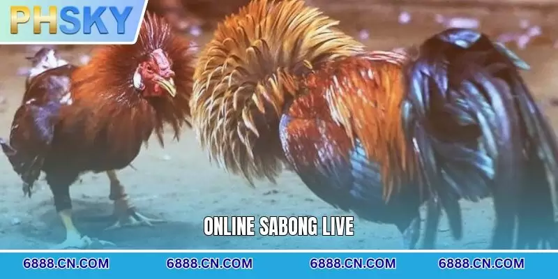 Online Sabong Live
