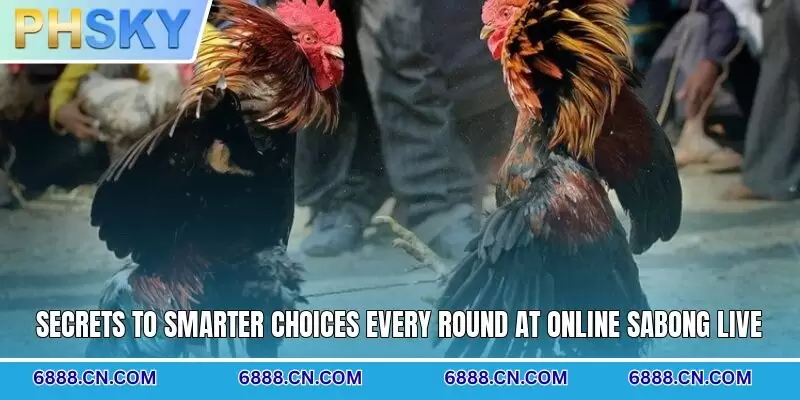 Secrets to smarter choices every round at online sabong live