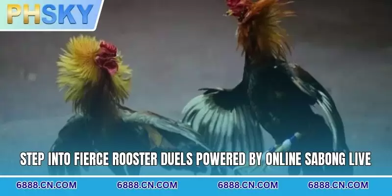 Step into fierce rooster duels powered by online sabong live
