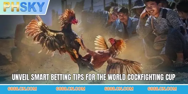Unveil smart betting tips for the world cockfighting cup