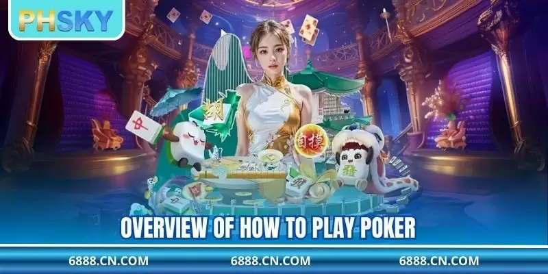 Overview of How to Play Poker