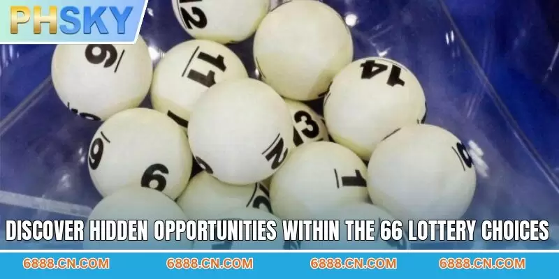 Discover hidden opportunities within the 66 lottery choices